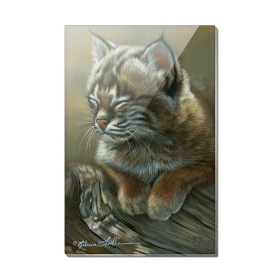 Baby Young Bobcat Kitten Rectangle Acrylic Fridge Refrigerator Magnet