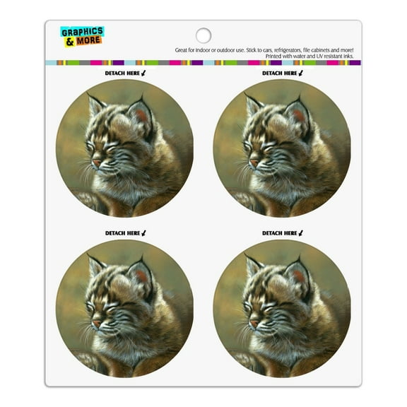Baby Young Bobcat Kitten Refrigerator Fridge Locker Vinyl Circle Magnet Set