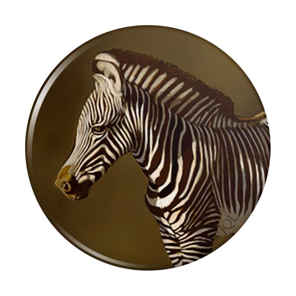 Baby Zebra Young Foal Kitchen Refrigerator Locker Button Magnet