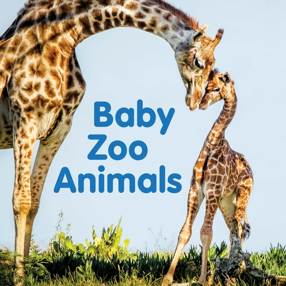 Baby Zoo Animals (Board book)