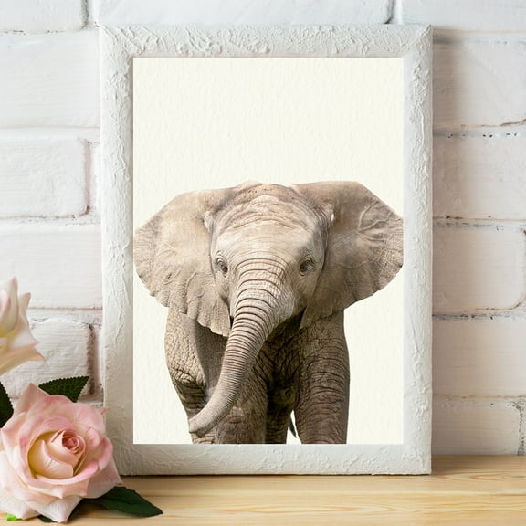 Baby Zoo Elephant - Nursery Wall Décor Farm Baby Animal Art Print