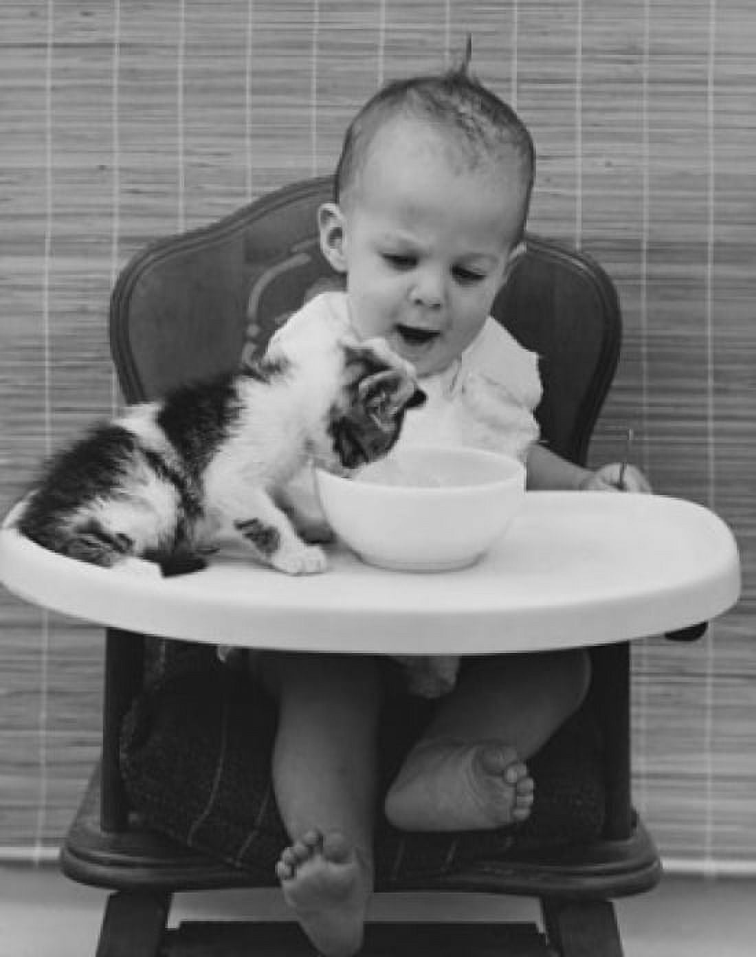 Baby feeding a kitten Canvas Art - (18 x 24)