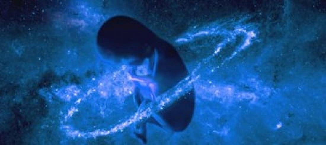 Baby in universe Canvas Art - Panoramic Images (15 x 7)
