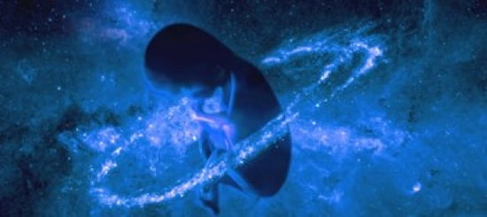 Baby in universe Canvas Art - Panoramic Images (30 x 14)