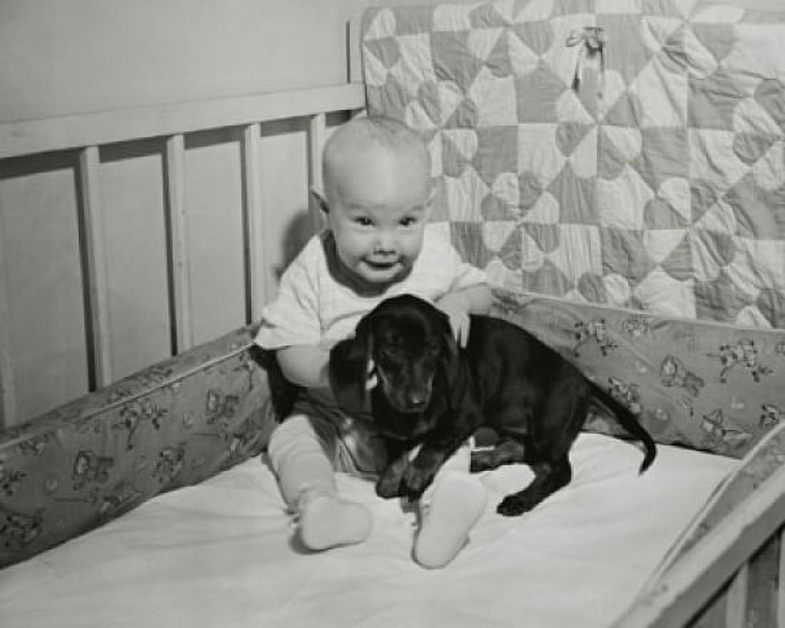 Baby playing with a puppy in a crib Canvas Art -  (18 x 24)