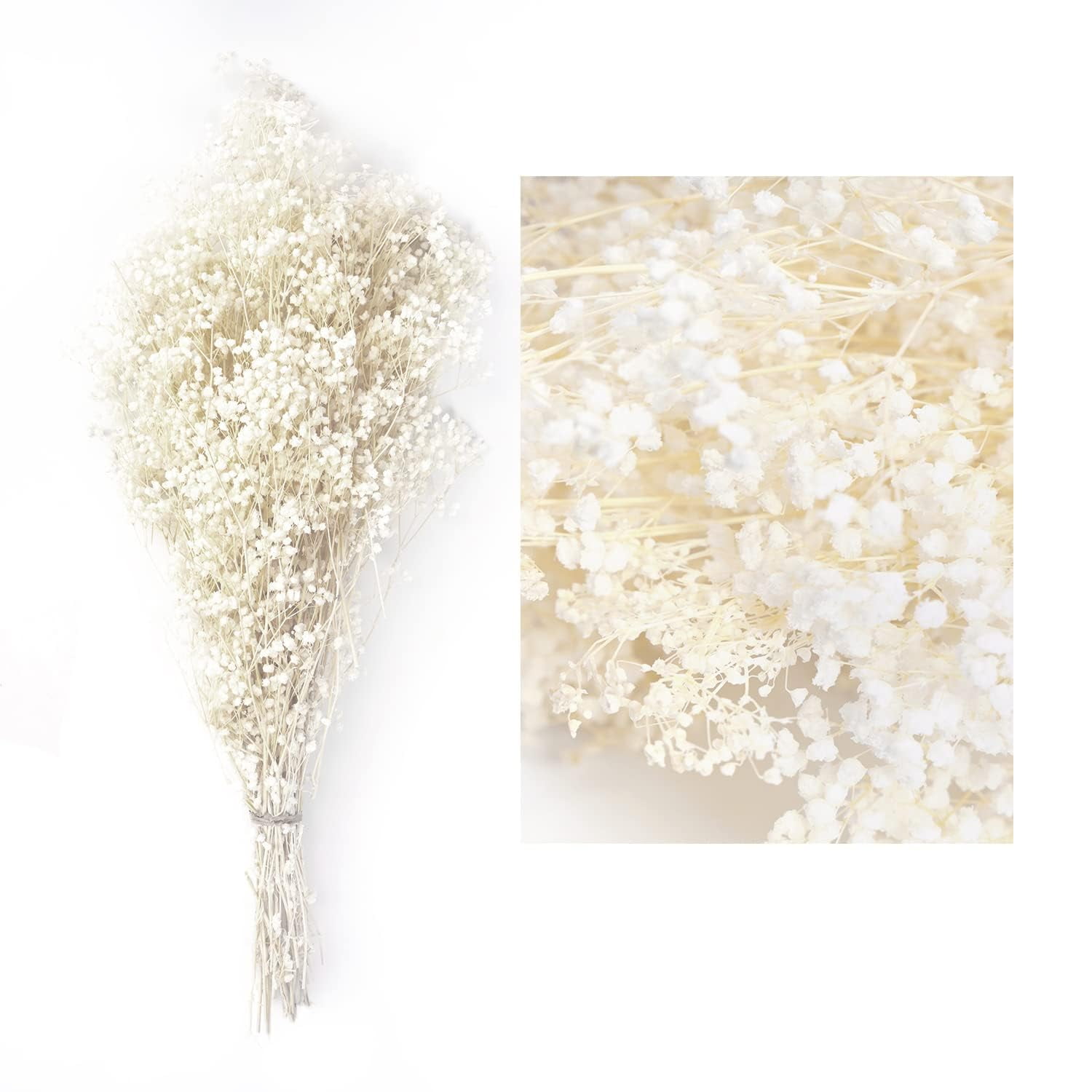 pantydropper × uncrowd Dry flower white Dried White Flowers