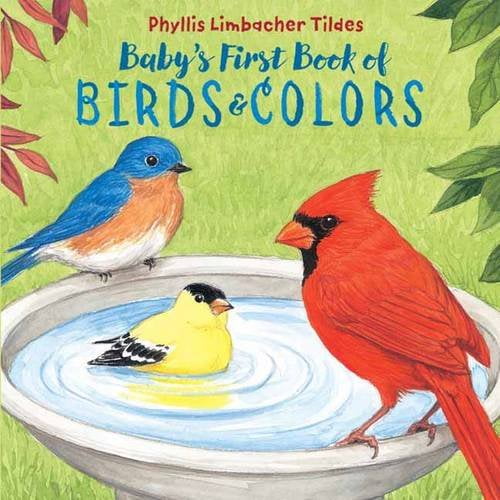 Baby's First Book of Birds & Colors (Board Book)