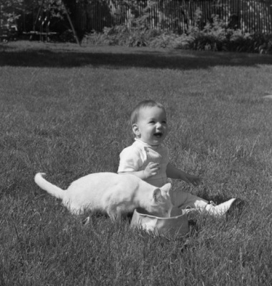 Baby sitting on grass Canvas Art - (24 x 36)