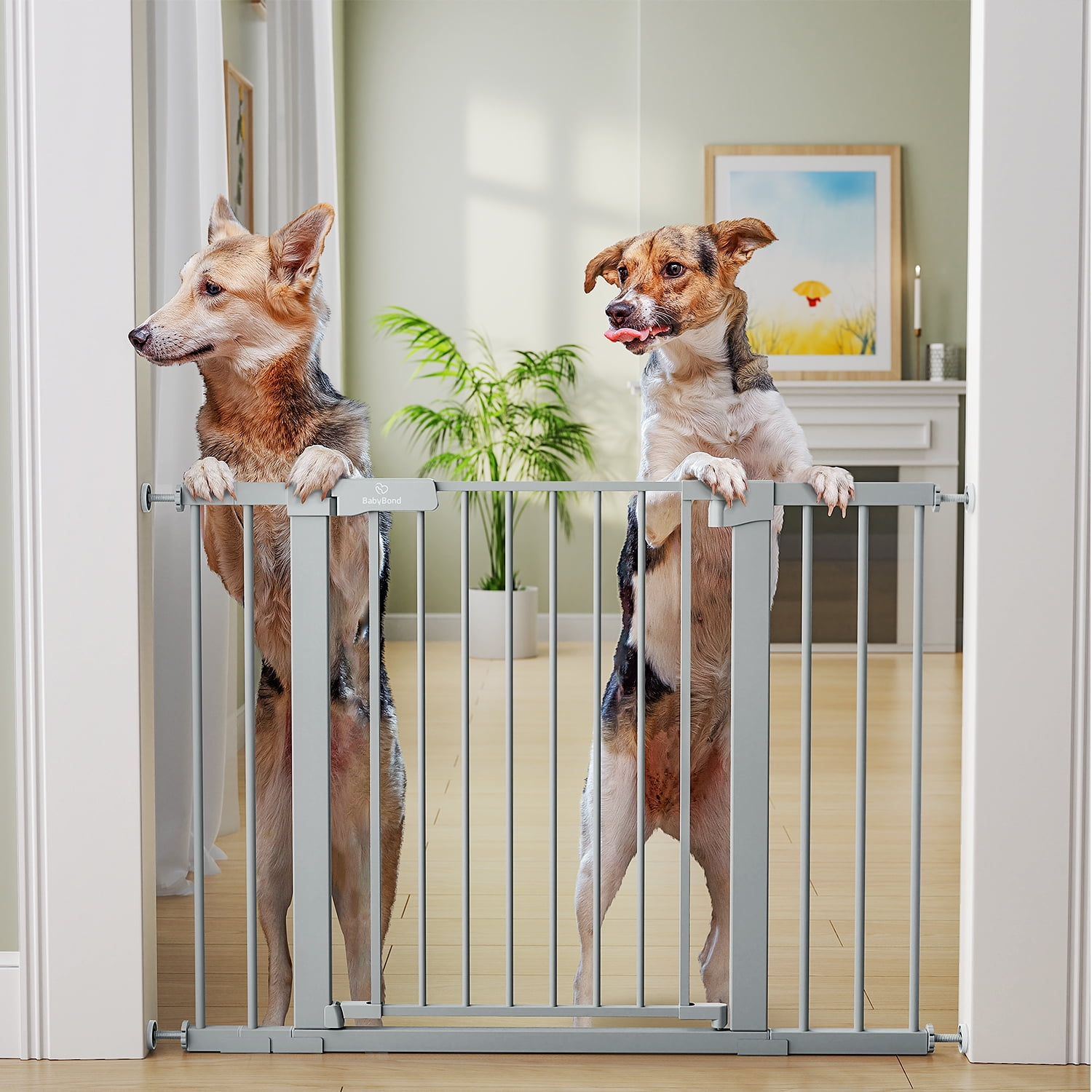 27 43 Baby Gate for Stairs Dog Gate for Doorways Pressure Mounted Self Closing Pet Gates for Dogs Indoor Durable Safety Child Gate with Easy Walk