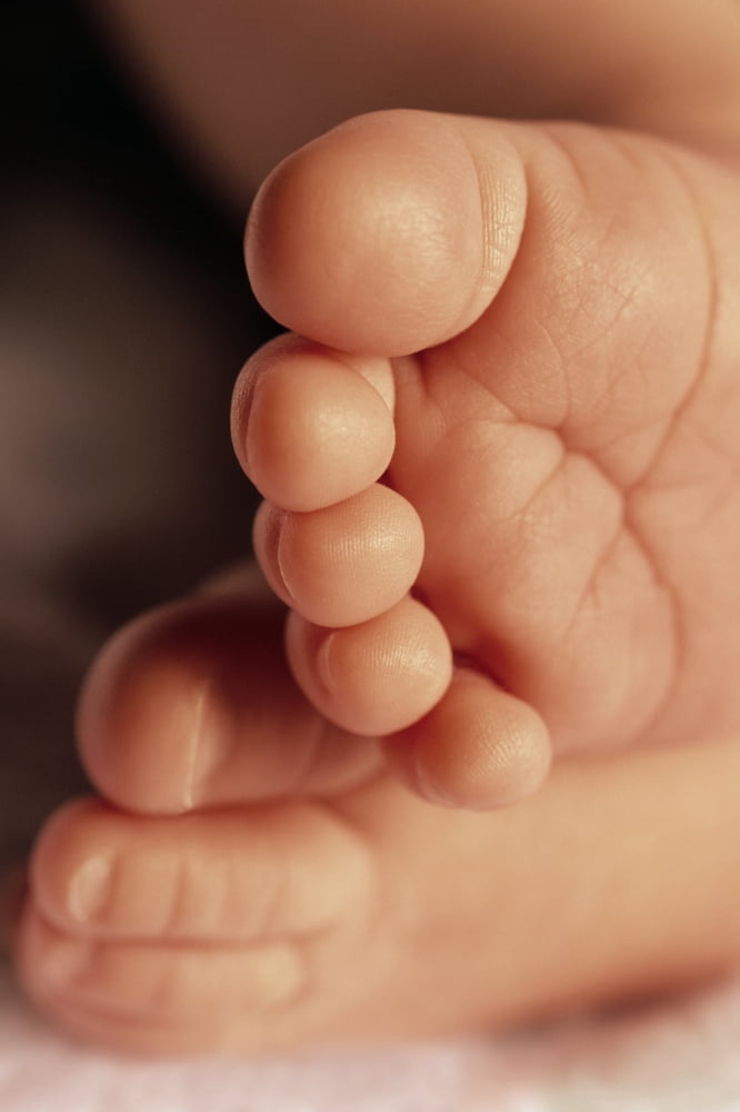 Babys Feet Canvas Art - Don Hammond Design Pics (22 x 34)