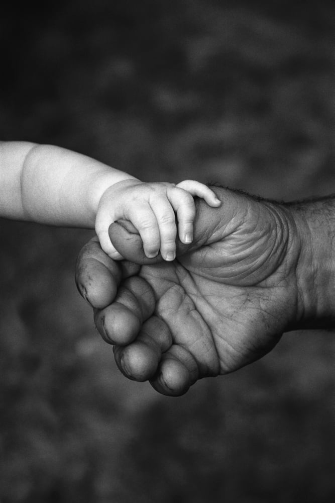 Babys Hand Holding On To Adult Hand Canvas Art - Corey Hochachka Design Pics (11 x 17)