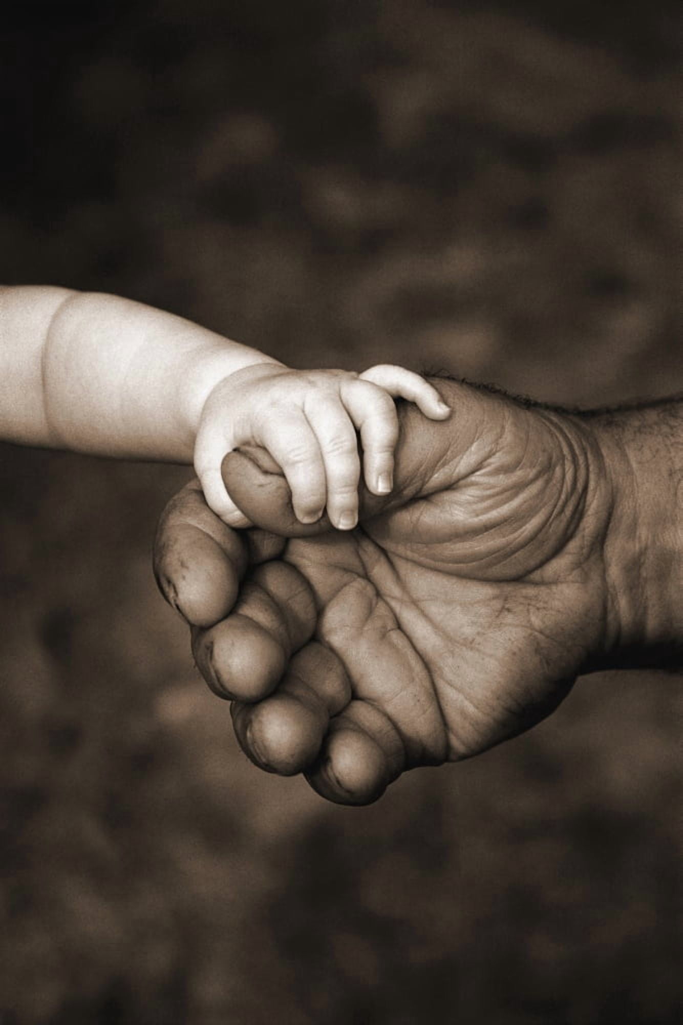 Babys Hand Holding On To Adult Hand Canvas Art - Corey Hochachka Design Pics (11 x 17)
