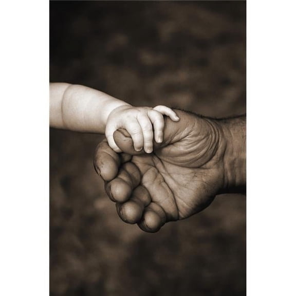 Babys Hand Holding On To Adult Hand Poster Print by Corey Hochachka, 22 x 34 - Large