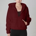 thumbnail image 1 of Babysbule Women's Fall Sweatshirt Double-sided Velvet Long Sleeve Raglan Shoulder Fleece Hoodie Half Zip Pocket Activewear Top, 1 of 9
