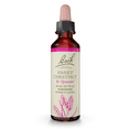 thumbnail image 1 of Bach Original Flower Remedies, Sweet Chestnut - 20 mL Dropper, 1 of 6