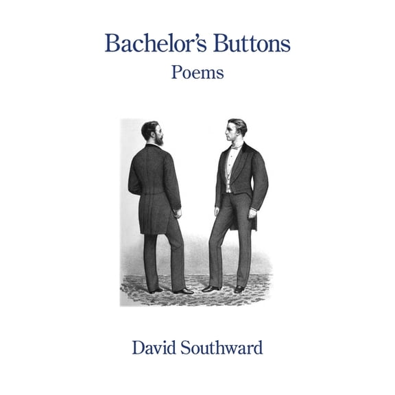 Bachelor's Buttons, (Paperback)