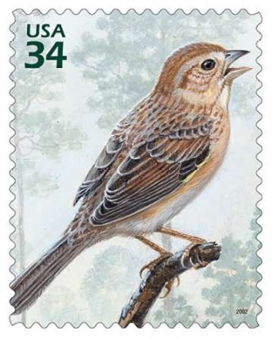 Bachmans Sparrow Canvas Art - US POSTAL SERVICE (22 x 28)