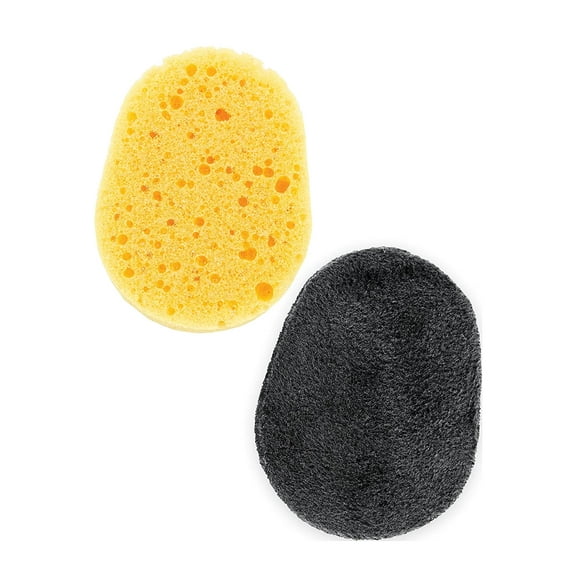 Back Applicator Sponges