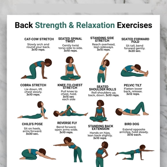 Back Exercise Poster Sitting And Standing Posture Back Exercise Poster Mild Non Equipment Exercise Poster Upper And Lower Back Home Exercise Chart Poster