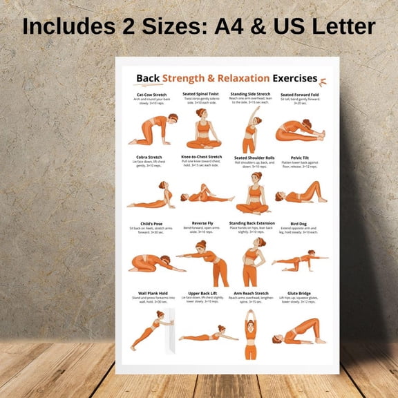 Back Exercises | Seated and Standing Back Exercise Poster | Upper and Lower Back Home Workout Printable Chart | Gentle No Equipment Exercise, Unframed Paper Poster 8x10in