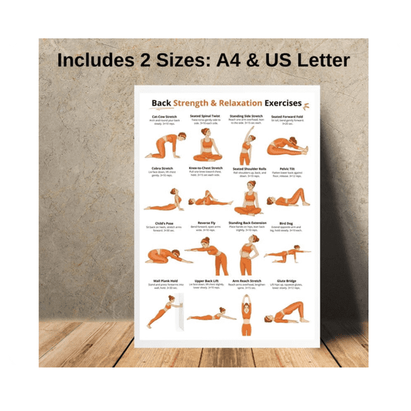 Back Exercises Seated Standing Workout Chart Poster, Unframed Paper Poster 8x10in