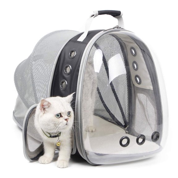Back Expandable Bubble Backpack Ventilated Transparent Foldable Dog & Cat Carrier, Black, Large
