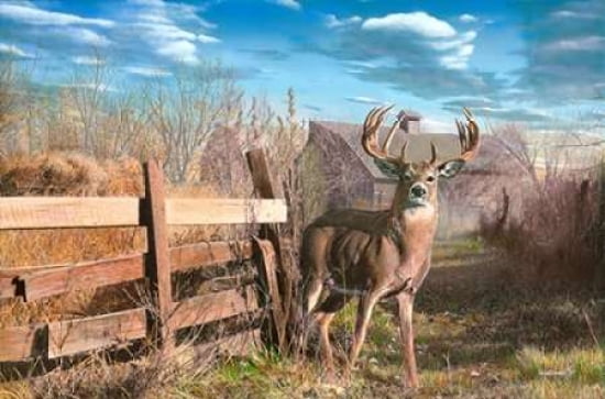 Back Forty Buck Canvas Art - Kevin Daniel (12 x 18)