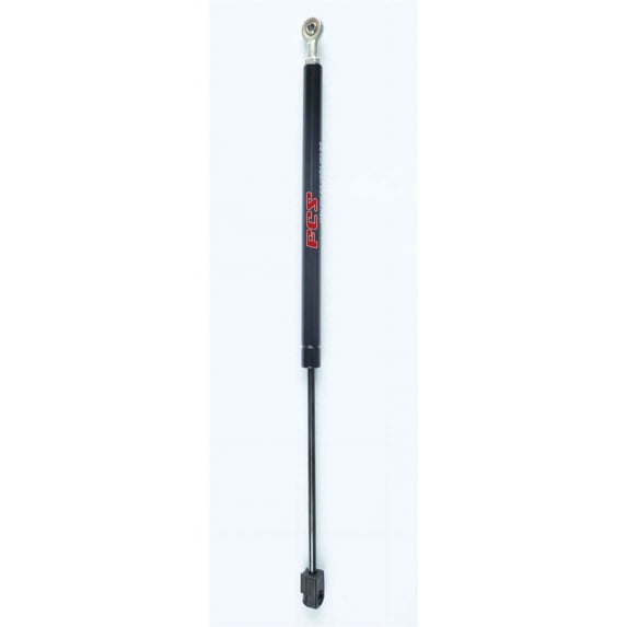 Back Glass Lift Support