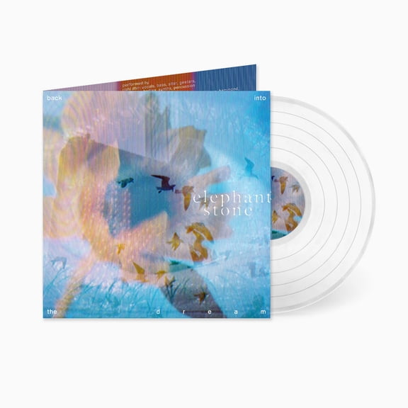 Back Into the Dream (LP)