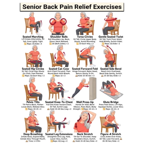 Back Pain Relief Exercises For Seniors poster Lower Back Workout For ...