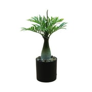 Back To School Supplies!Artificial Palm Tree,Artificial Plants Indoor Lighted Simulation Tropical Palm Tree Fake Plant Light for Patio Home Office Beach Yard Cruise Hawaiian Party Bar Decorations