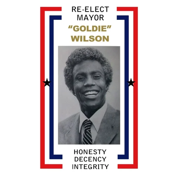 Back To The Future 2 Re Elect Mayor Goldie Wilson Campaign Poster UNFRAMED PAPER POSTER, Home Decor