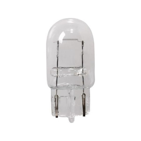 Back Up Light Bulb - Compatible with 1995 - 2021 Honda Odyssey 1996 1997 1998 1999 2000 2001 2002 2003 2004 2005 2006 2007 2008 2009 2010 2011 2012 2013 2014 2015 2016 2017 2018 2019 2020