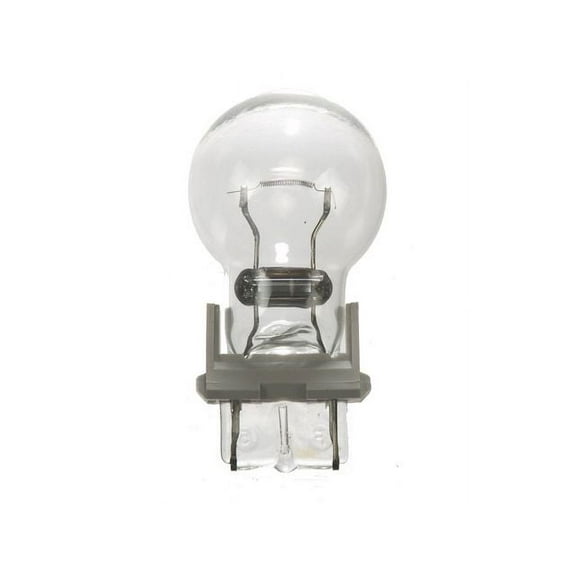 Back Up Light Bulb - Compatible with 1990 - 1998 Chevy K1500 1991 1992 1993 1994 1995 1996 1997