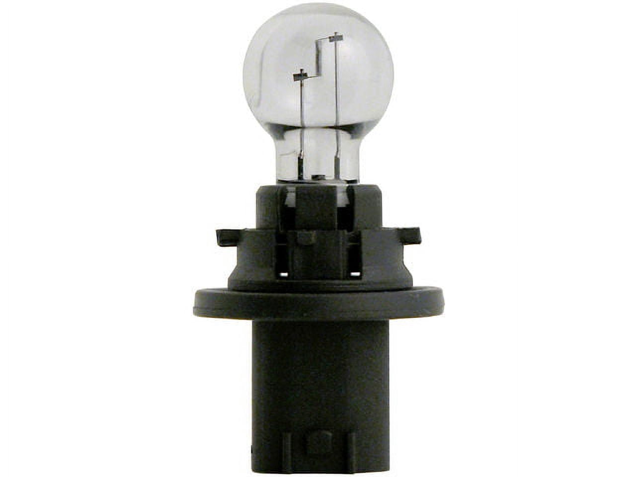 Back Up Light Bulb - Compatible with 2007 - 2012 GMC Acadia 2008 2009 ...