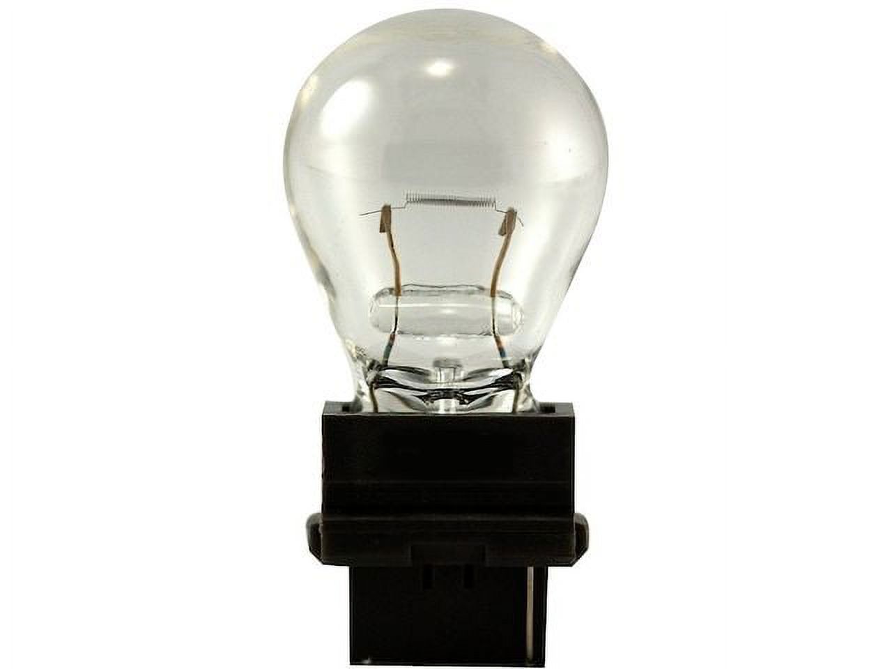 Back Up Light Bulb - Compatible with 2008 - 2011 Ford Ranger 2009 2010 ...