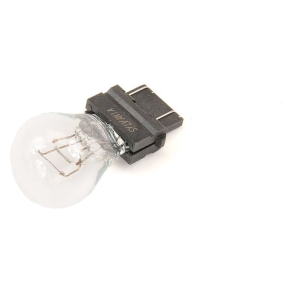Back Up Light Bulb