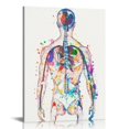 thumbnail image 1 of Back Watercolor Art Print Medical Art Science Skeleton Print Chiropractor Office Wall Décor DN737, 1 of 5