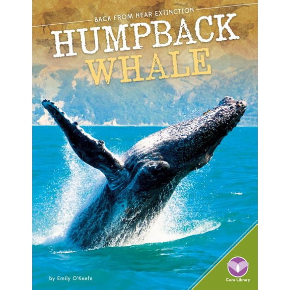 Back from Near Extinction Humpback Whale, (Hardcover)