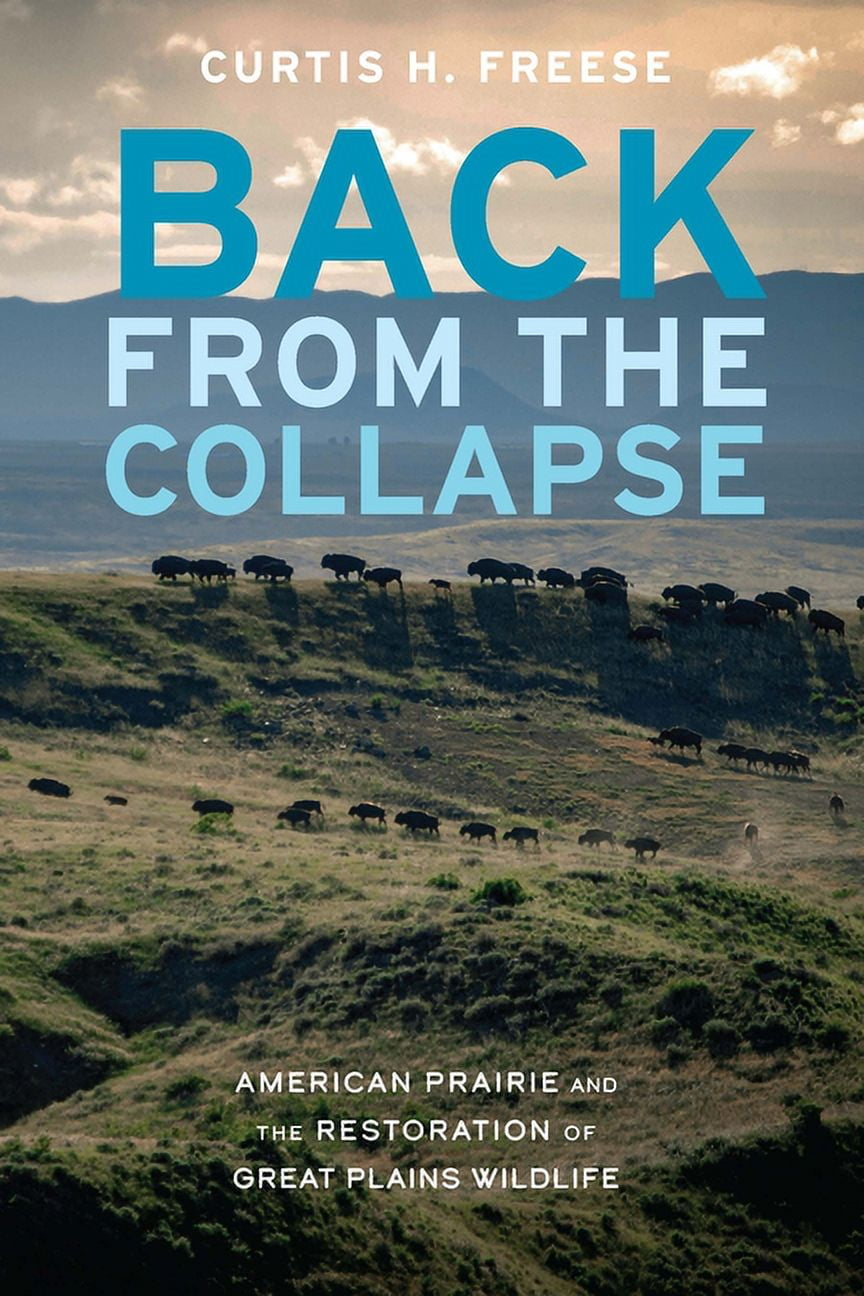 Back from the Collapse: American Prairie and the Restoration of Great Plains Wildlife, (Paperback)