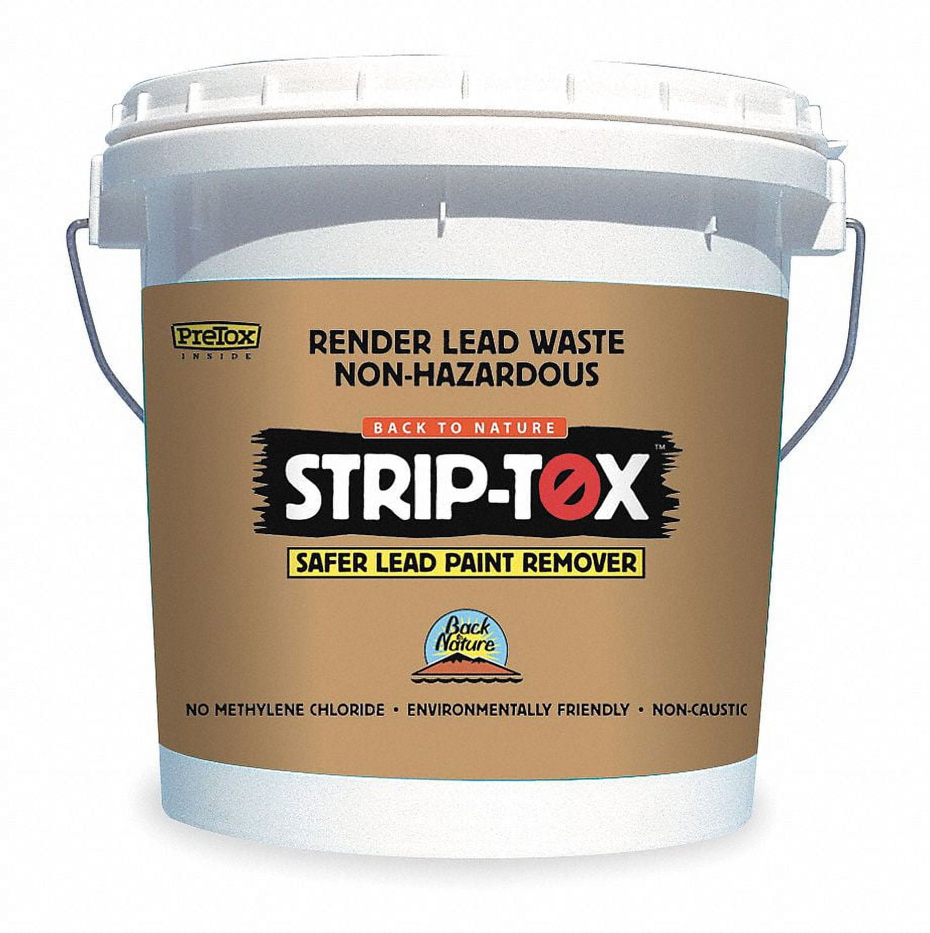 Back to Nature Strip- Tox Odorless Safer Lead Paint Remover - Walmart.com