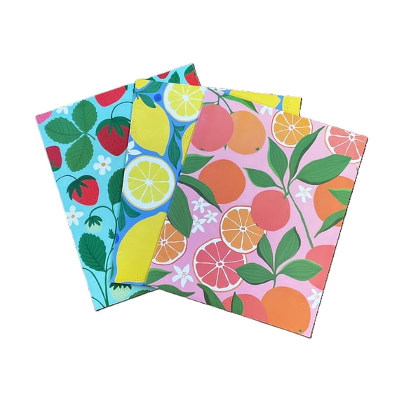 Back to School 2 Pocket Folders Portfolio Set 3 Laminated Fun Fruit Patterns