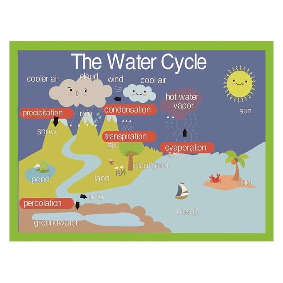 Back to School Water Cycle Poster - Educational Science Chart for Weather Themed Classroom Decor, Earth Processes Wall Art