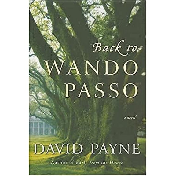 Pre-Owned Back to Wando Passo: A Novel (Hardcover) 0060851899 9780060851897
