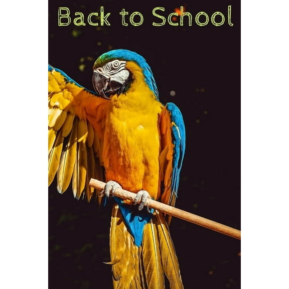 Back to school - Paperback -, (Paperback)