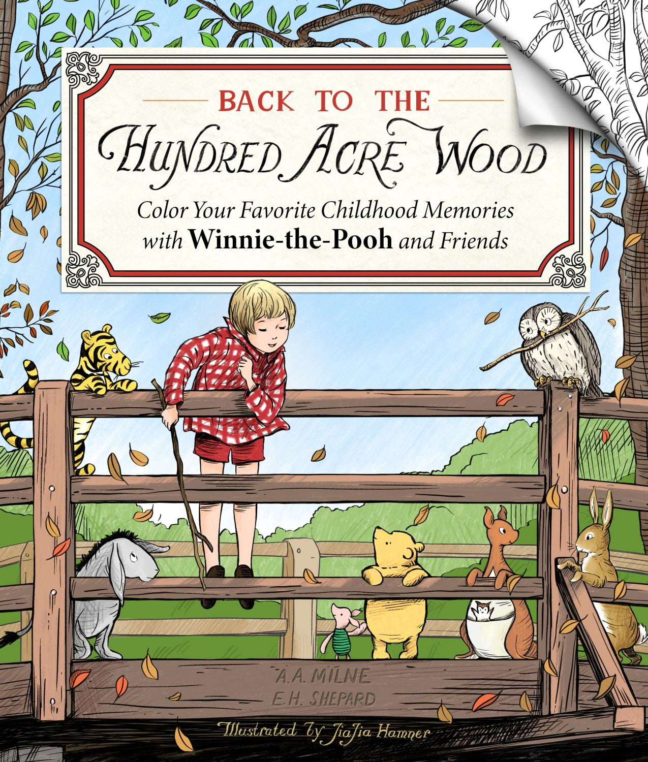 Jiajia Hamner: Back to the Hundred Acre Wood: Color Your Favorite Childhood Memories with Winnie-The-Pooh and Friends, 80 pages (Paperback)