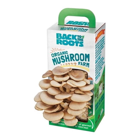 Back to the Roots Grow Kit for Moderate Sun