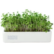 Back to the Roots Organic Microgreens Ceramic Grow Kit - Mighty Mix Superfoods
