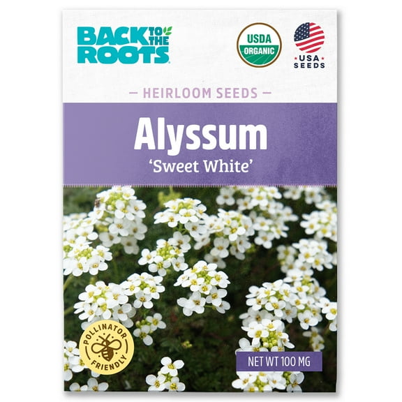 Back to the Roots Organic Alyssum 'White', 1 Seed packet