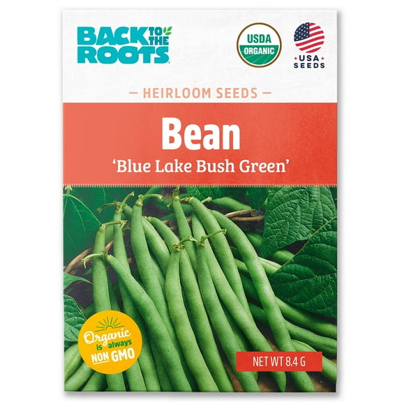 Back to the Roots Organic Bean,'Blue Lake' Bush Green, 1 Seed packet